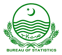 Bureau of Statistics Punjab